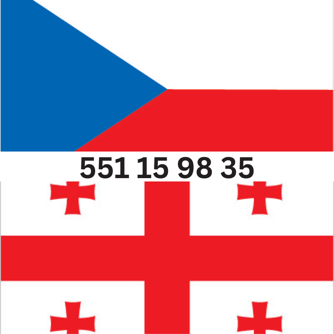 ჩეხური ენის თარჯიმანი, ჩეხურის თარჯიმანი, chexuri enis tarjimani, chexuris tarjimani